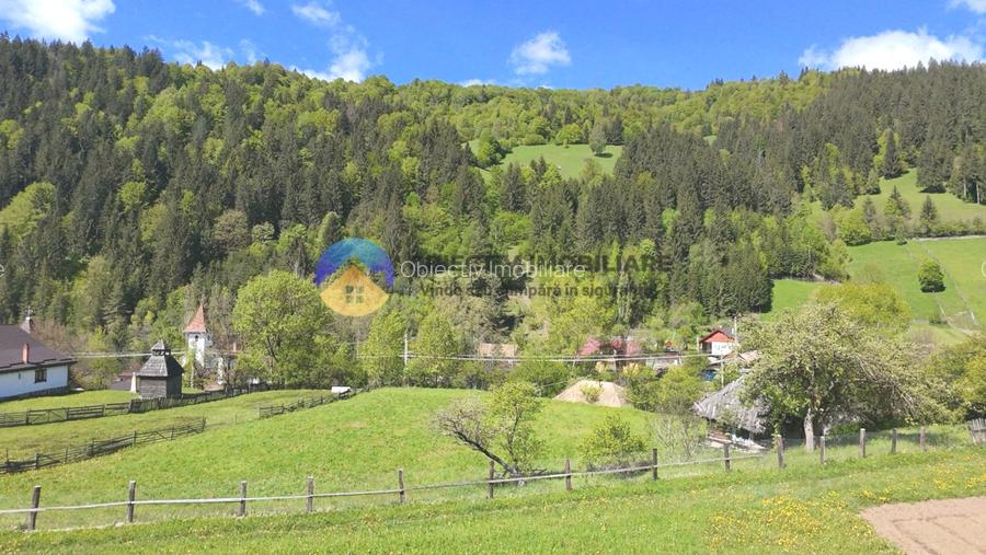CASA traditionala BICAZU ARDELEAN + teren extravilan 1,6 hectare - 6