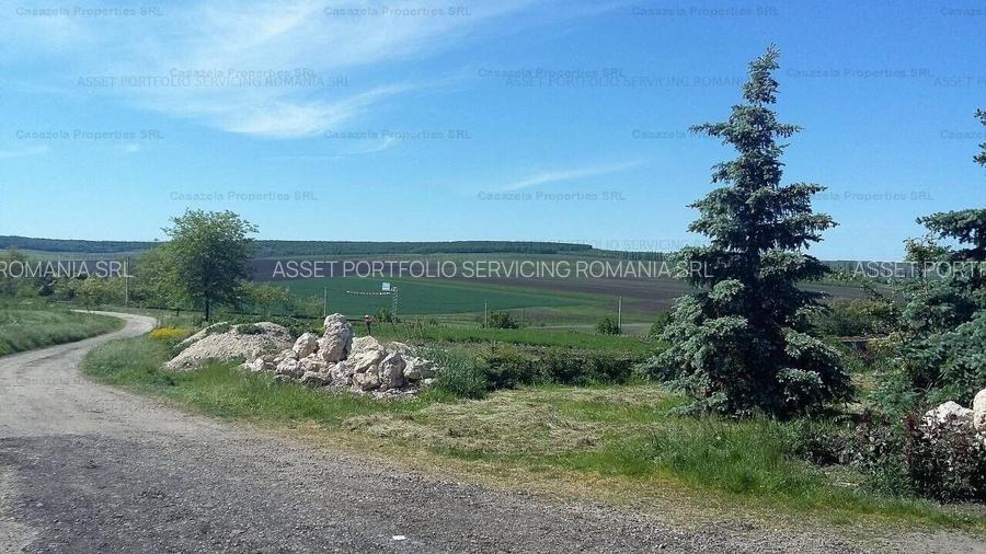 Spatiu industrial, Manoleasa, Botosani - 9