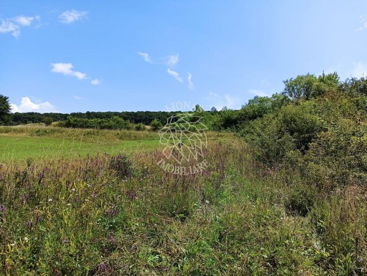 Parcele teren 4038 mp - Parcelabil - Zona Valea Stanelor