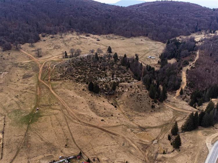 Teren Intravilan 6500 MP- Valea Poienii Aviatorilor ,Aproape de Poiana Brasov si - 3