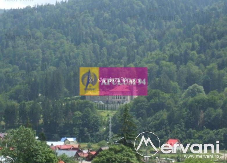 Vila de vanzare in Busteni - Zona Centrala - 8