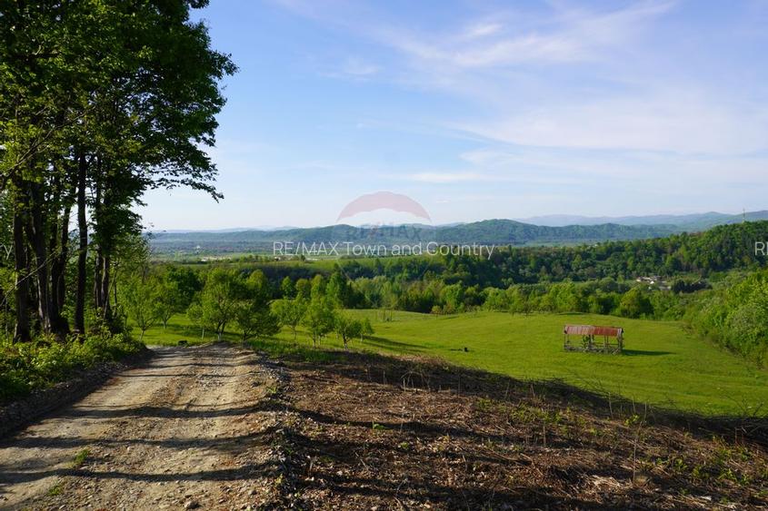 Teren 15,000mp Sighetu Marmatiei / Strada Mocanitei - 4