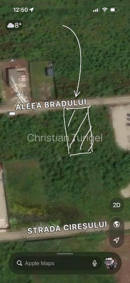 📍 Teren intravilan Premium – 538 mp | Aleea Bradului 59, Smeura – Moșoaia - 5