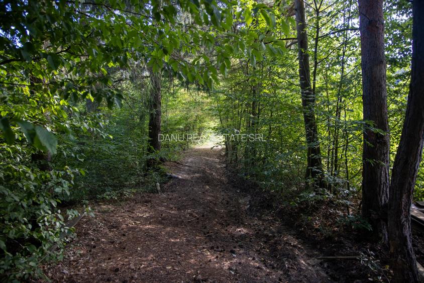 Investitie premium in turism-teren 6800mp langa lacuri Vulcan Brasov - 10