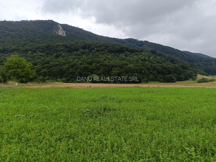 Brașov Bartolomeu,str Cucului , Intravilan 16.500 mp, dezvoltare rezidentiala - 4