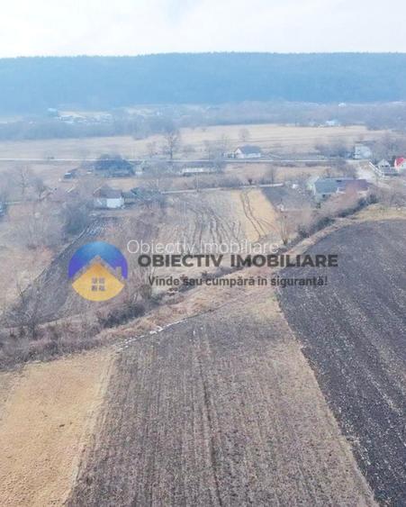 Teren INTRAVILAN  10.515 mp - BODEȘTI, judetul NEAMȚ - 4