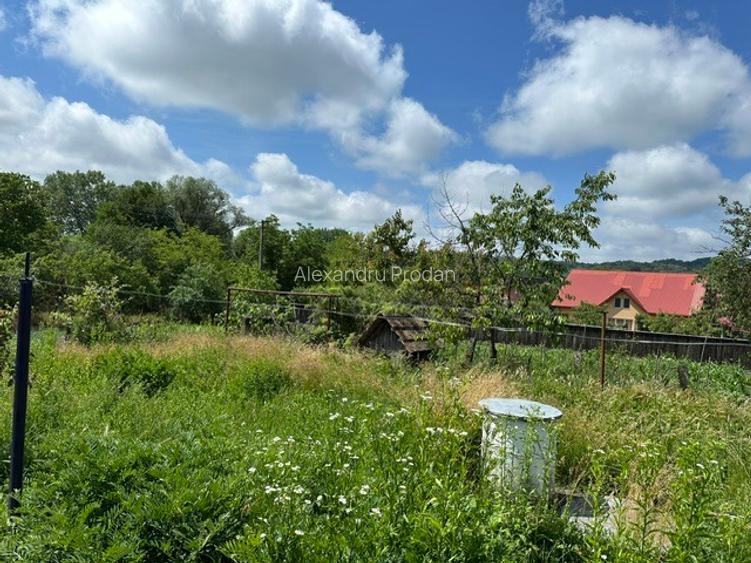 Amarasti Nemoiu in apropiere de Dragasani si Valcea - 9