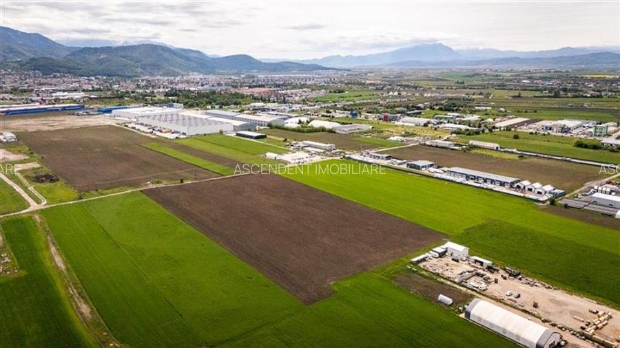 FILM! Teren intravilan, cu PUZ, pe 10.000 mp, Grivitei, Brasov - 3
