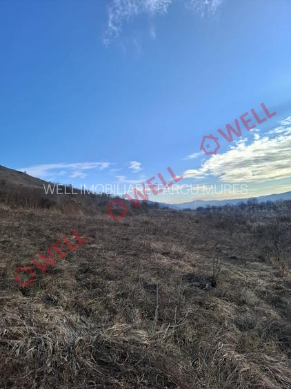 Teren de vânzare în Fântânele – locație excelentă! - 3