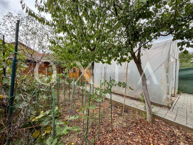 SX636 Dumbravita Padure - Teren Generos - Disponibil Imediat - 26