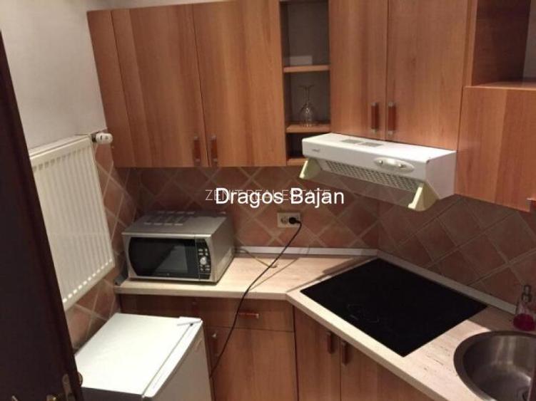 Icoanei // Vila superba // 2 camere. - 5