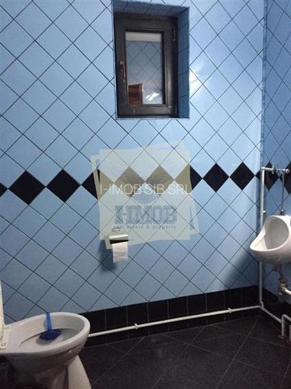 Vila moderna complet utilata 6 camere 5 bai si 377 mp teren in Paltinis - 4