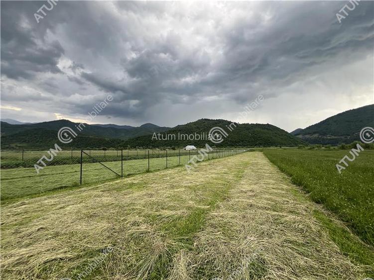 Teren intravilan de 3477 mp cu deschidere de 35 m in Boita - 5