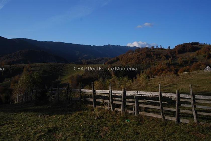 Vand teren Arges in  Dambovicioara 12 150 mp vedere Piatra Craiului - 2