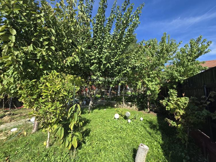 Inchiriere apartament Snagov, teren, ponton, lac - 35