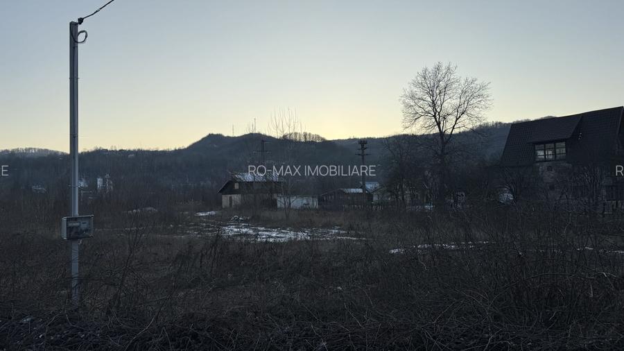 Teren intravilan construcții 10834 mp + construcție- cabană lemn! - 12