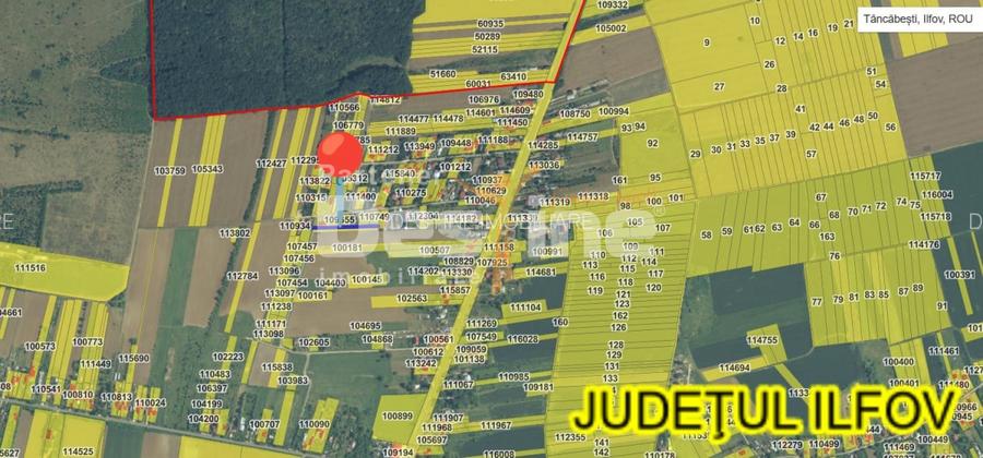 Loturi de teren intravilan in suprafata de 715 mp respectiv 1800 mp, Tancabești - 2