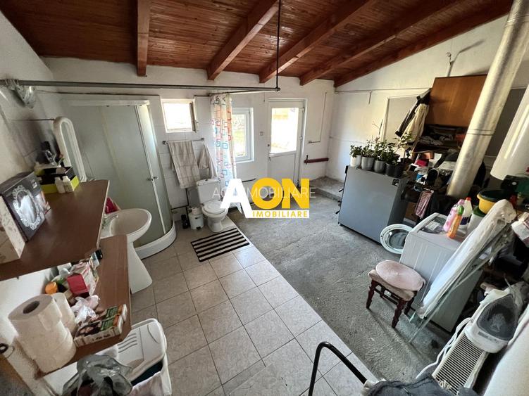 Casa de vanzare pretabila 2 familii, garaj, livada, comuna Pianu - 32