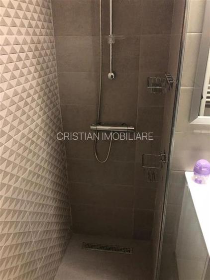 Inchiriere Ap.2 cam, conf 1, Independentei, et 4 10, mobilat si utilat, renovat - 10