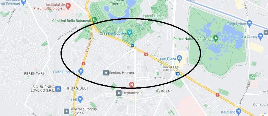 Zona Brancoveanu sp 130mp parter + curte - 6