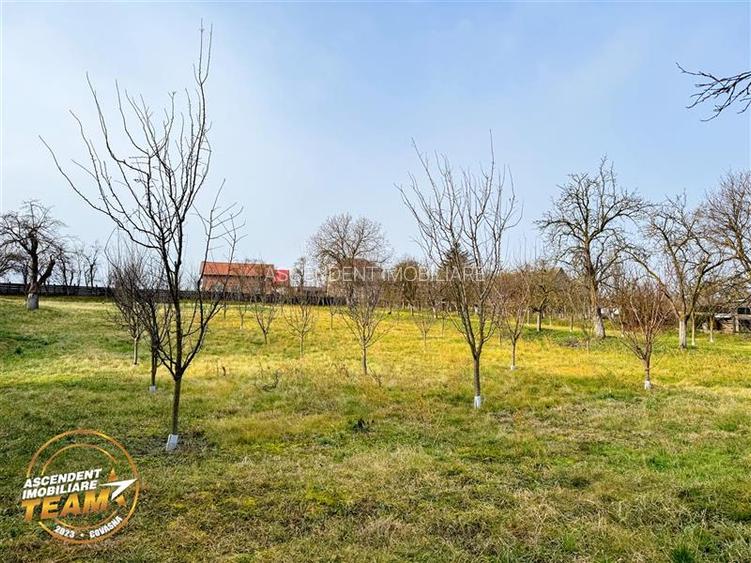 FILM! Oaza ta de liniste pe 0.5ha teren intravilan, Dalnic, Covasna - 11