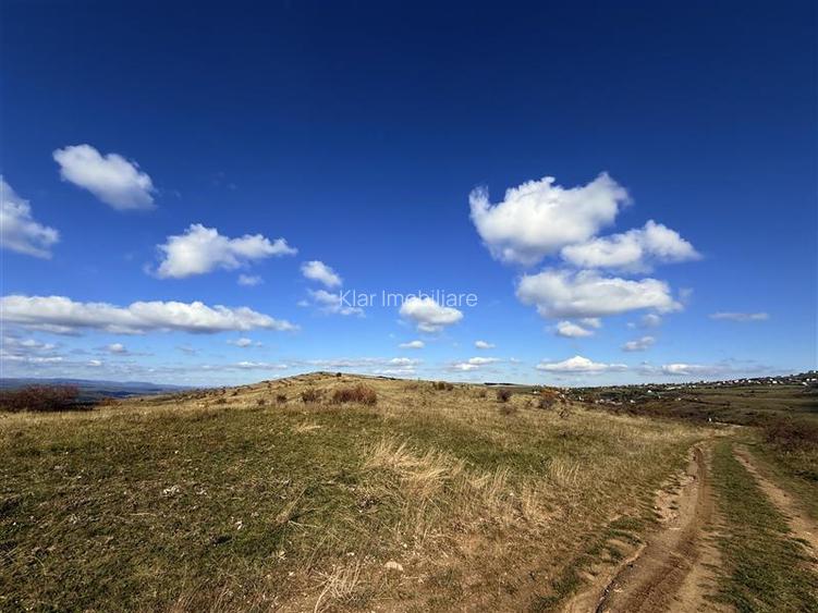 Comision 0% Oportunitate investitie teren extravilan  Salicea - 2