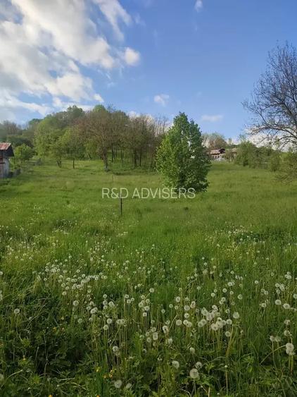 TEREN DE VANZARE IN ZONA DE DEAL  | SULTANU | VISINESTI - 4