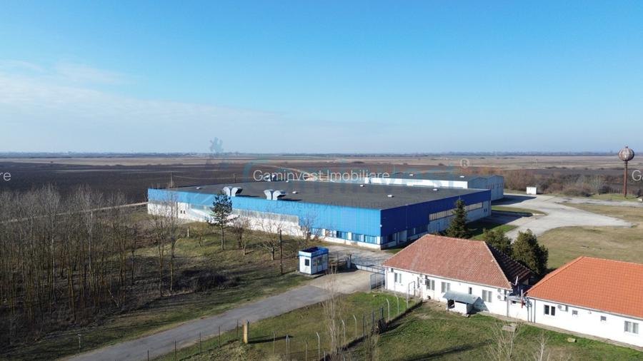 Hala Industriala de vanzare 6500 mp in Madaras la 30 km de Oradea, Bihor - 6