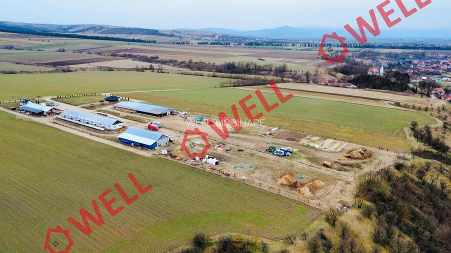 Ferma complet echipată de 22 de hectare de vânzare în Zoltan! - 7