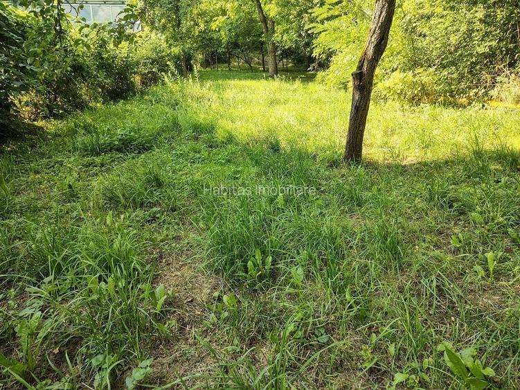 Casa individuala S+P+M cu teren 1723 mp, zona linistita, in Grigorescu - 8