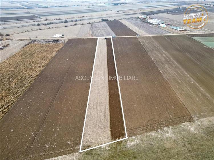 FILM! In areal linistit, acces facil, 4.200 mp  teren extravilan, Covasna - 4