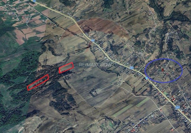 Teren agricol de vanzare Colonesti Bacau - 3