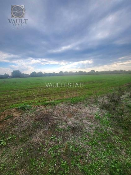 Teren Lucianca - Butimanu - deschidere la DN - 2