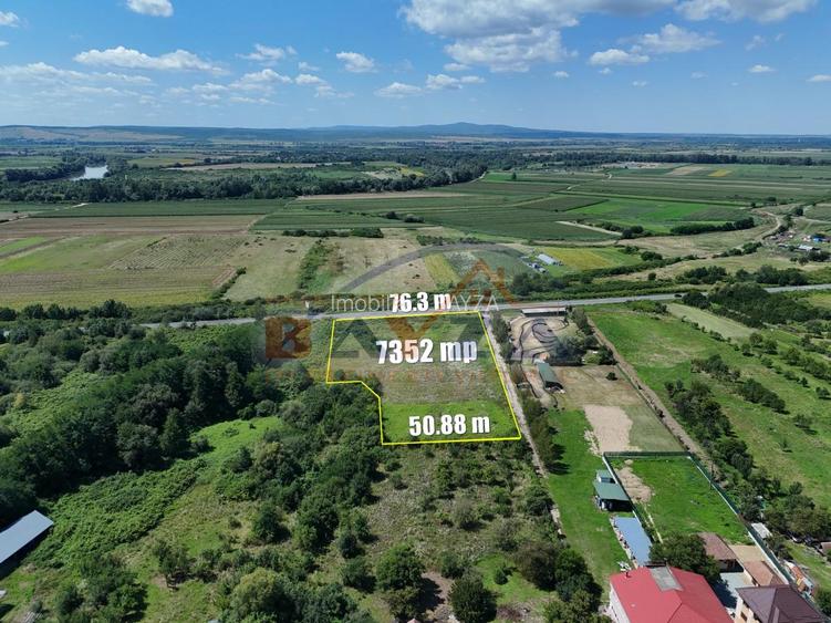 Teren intravilan 7352 mp, cu Deschidere 76.3 m la Șoseaua Națională - Cicârlău - 4