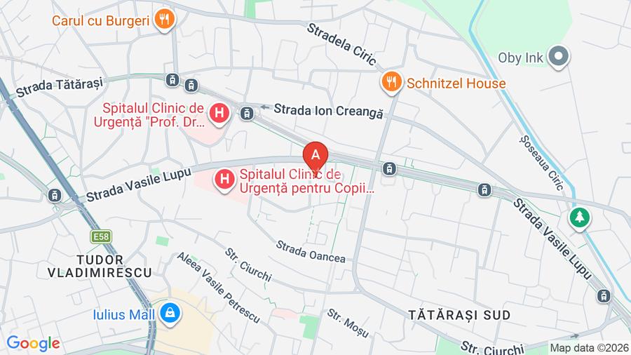 Apartament cu 2 camere Tatarasi Dispecer  - 12