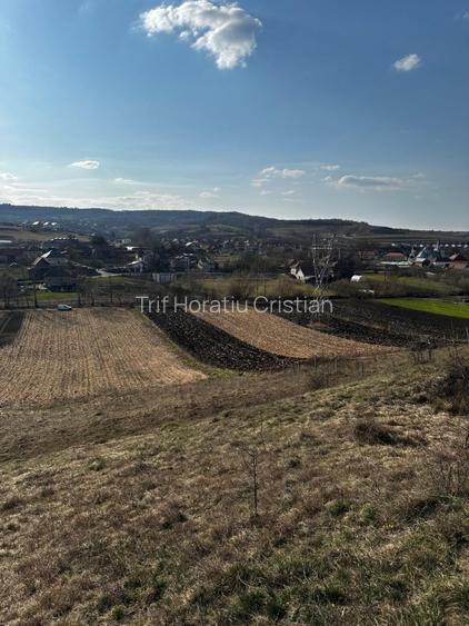 Teren extravilan 9000 mp Corușu, Baciu – acces drum,  acces apa curgatoare - 7