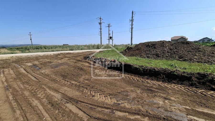 Terenuri Intravilane  Harman - 6