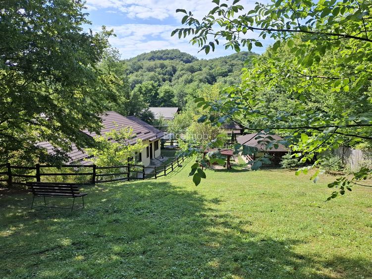 Pensiune agroturistică lângă București | Business funcțional | Iedera de Sus, DB - 14