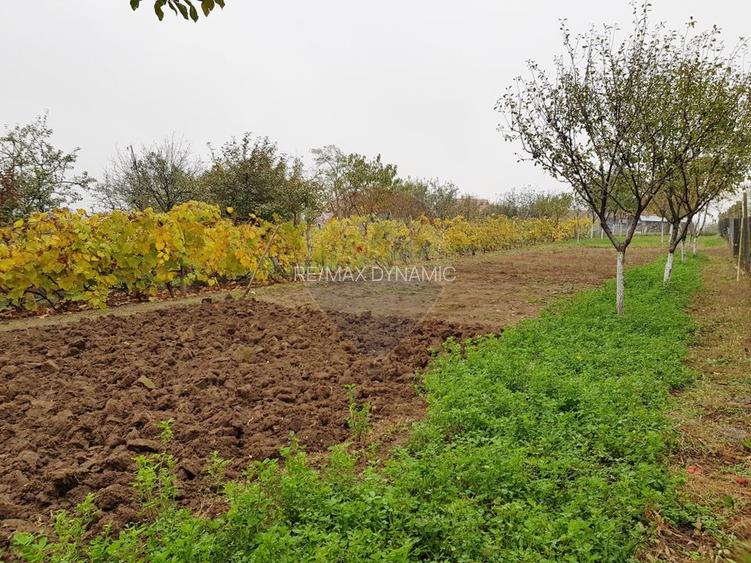 Casă / Vilă cu 6 camere de vânzare - 19