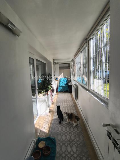 CENTRAL 2 CAMERE SEMI, MOBILAT SI UTILAT, 60 MP PRET 118000 EURO - 11
