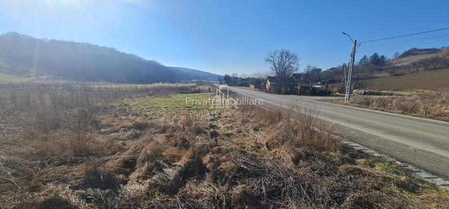 Teren 1000 Mp Intravilan De Vanzare, Langa Lac, Ivanesti - 2