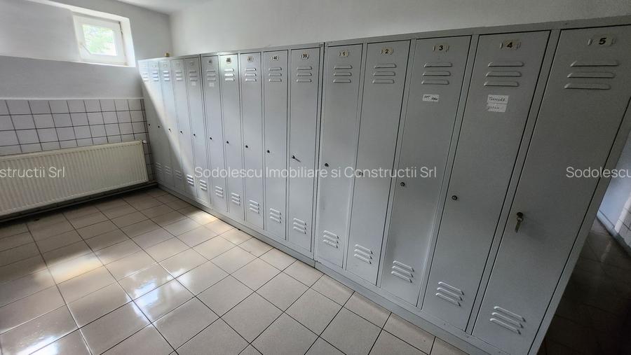 Spatiu industrial productie/ depozitare, Timiș - 15