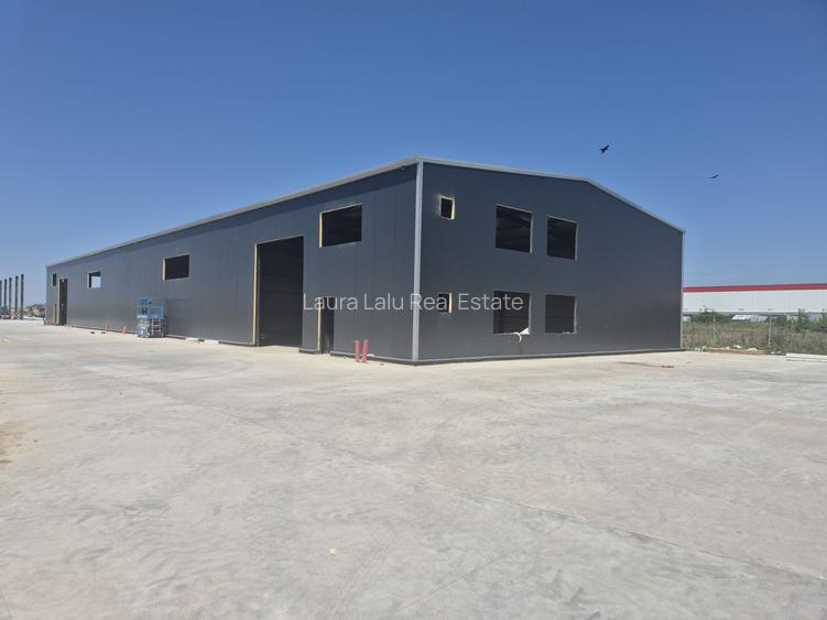 Hale de Inchiriat 600 mp Chitila - 5