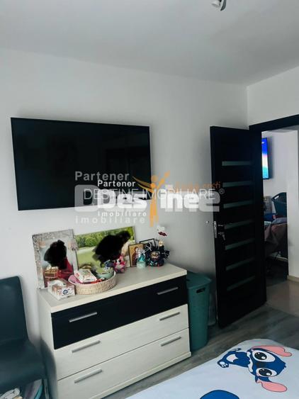 Apartament 2 camere, Baia Mare, Victor Babes, decomandat, mobilat, etaj 8 /10 - 6