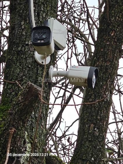 Casa modernizata in Campulung Muscel,padure proprie, toate utilitatile - 7