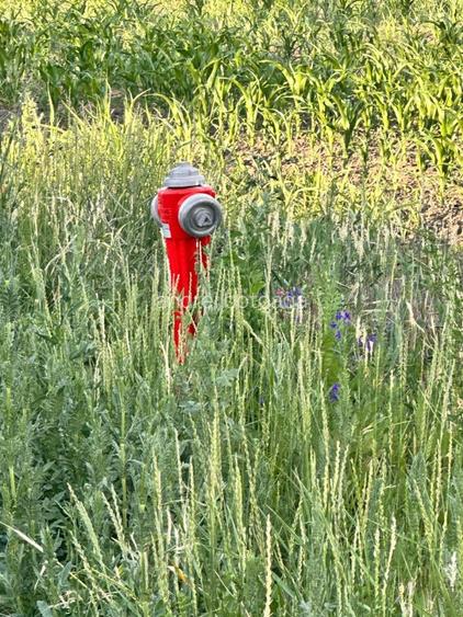 Vânzare teren intravilan 9100 mp – Str. Găterului, Orașul Răcari, Dâmbovița - 7