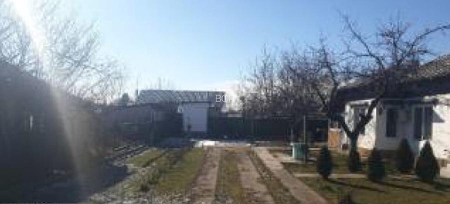 Casă 3 camere, IALOMITA, MANASIA - 4