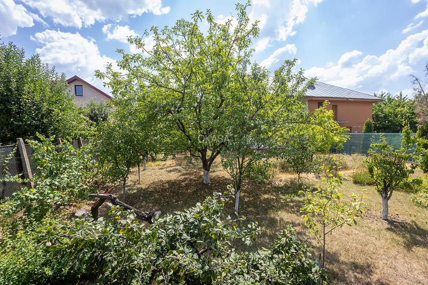 Locație rară: casă între pădure și apă, perfectă pentru un proiect de suflet - 35