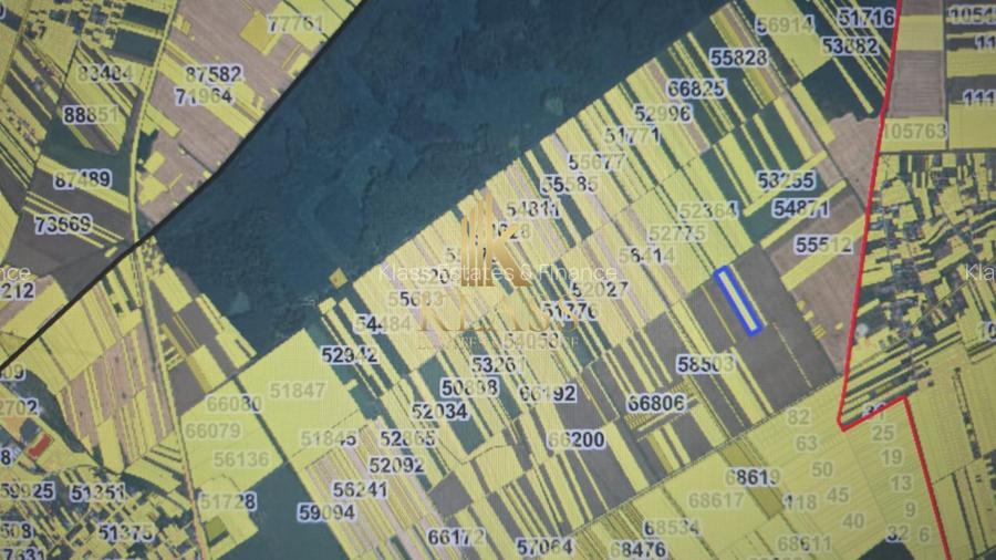 Teren Arabil 1.7 Ha – Localizare Strategică între Buftea și Corbeanca - 2