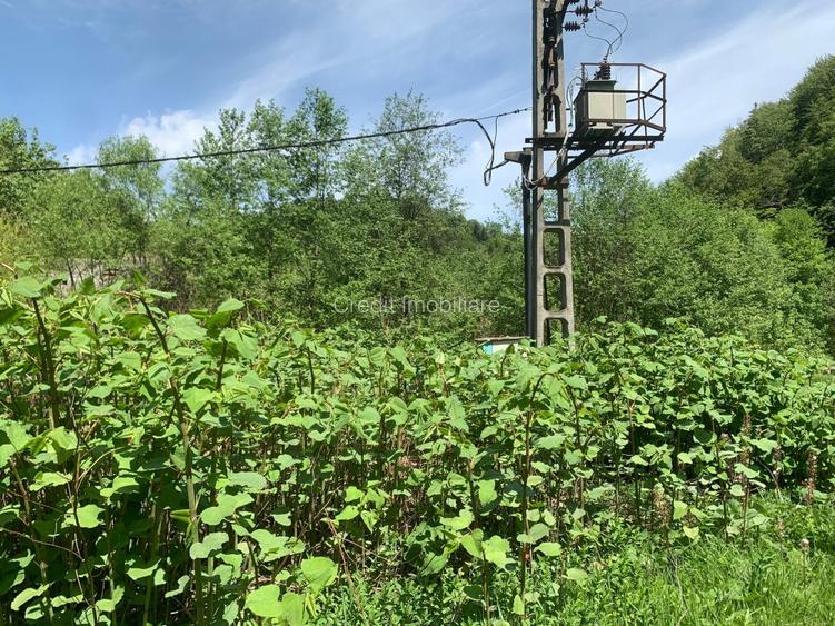 Teren de vanzare DN1. - 4